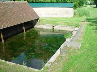 Lavoir avant renaturation