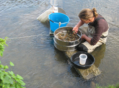Matériels de prélèvements hydrobiologiques